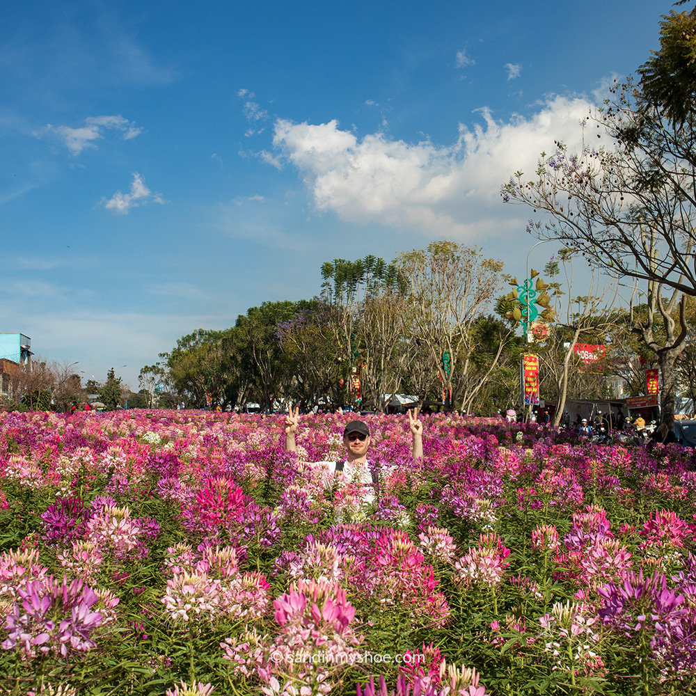 - Flower display in the center of Dalat, captured while exploring the city and its things to do.