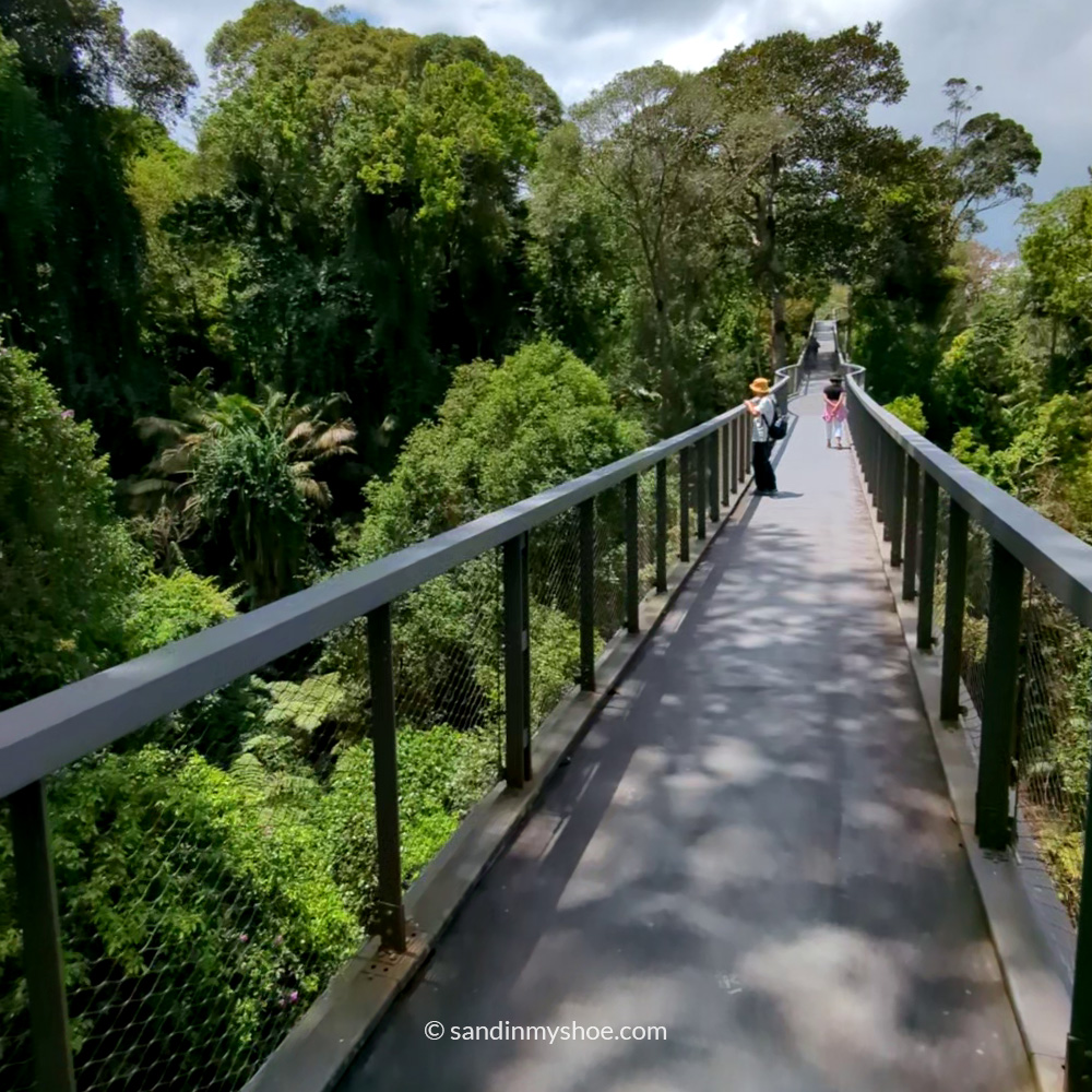 Suspended canopy bridge at The Habitat, elevated above the forest floor with trees surrounding the walkway.