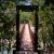 Hanging Bridge in Penang National Park, Malaysia