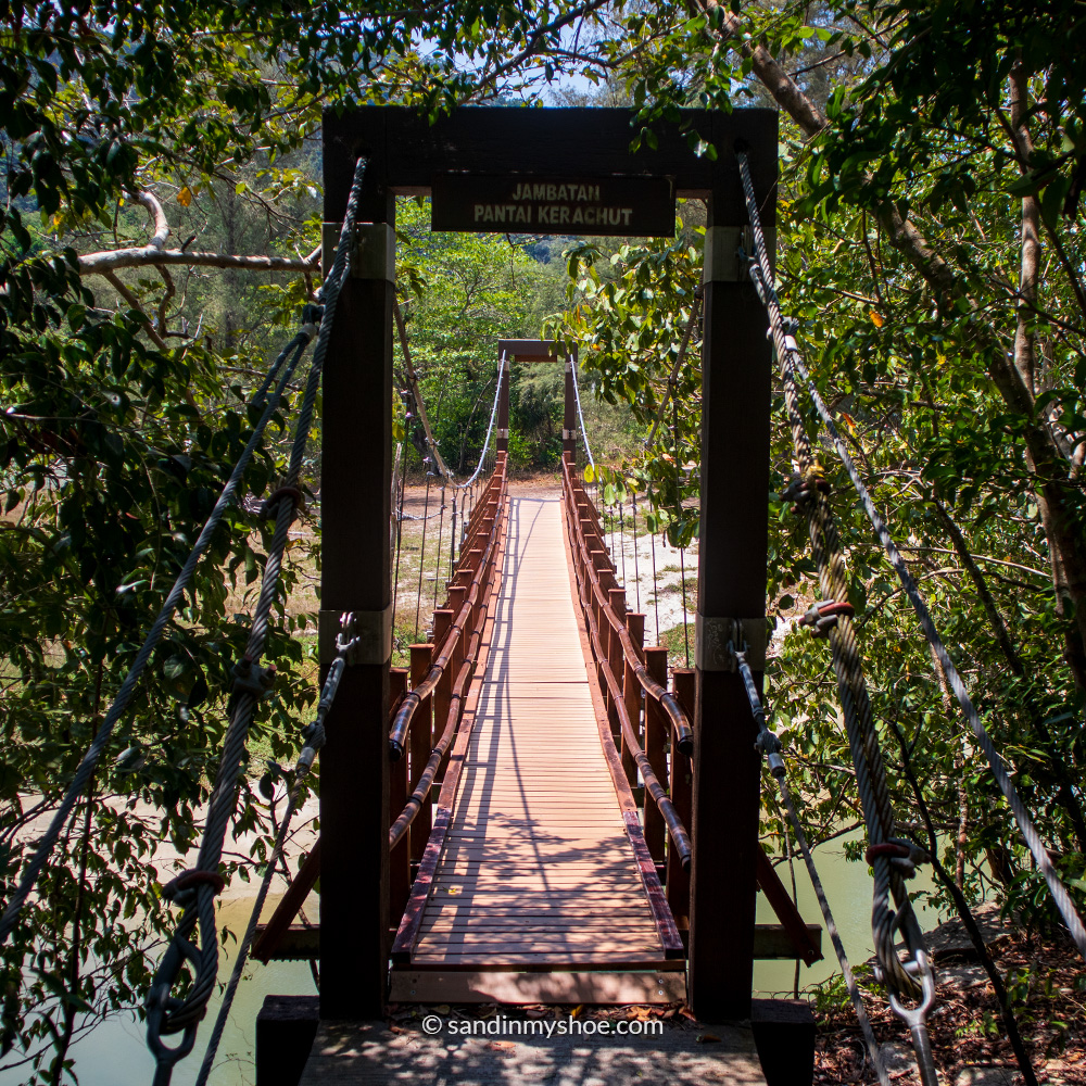 Hanging Bridge in Penang National Park, Malaysia