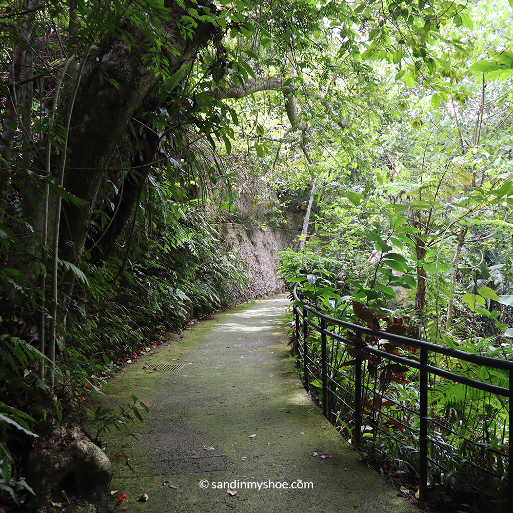 Shaded walking path at the entrance of The Habitat on Penang Hill, surrounded by trees and greenery.