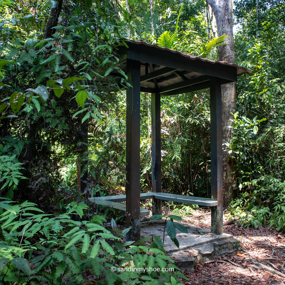 Resting area with bench and rain cover in Penang National Park.