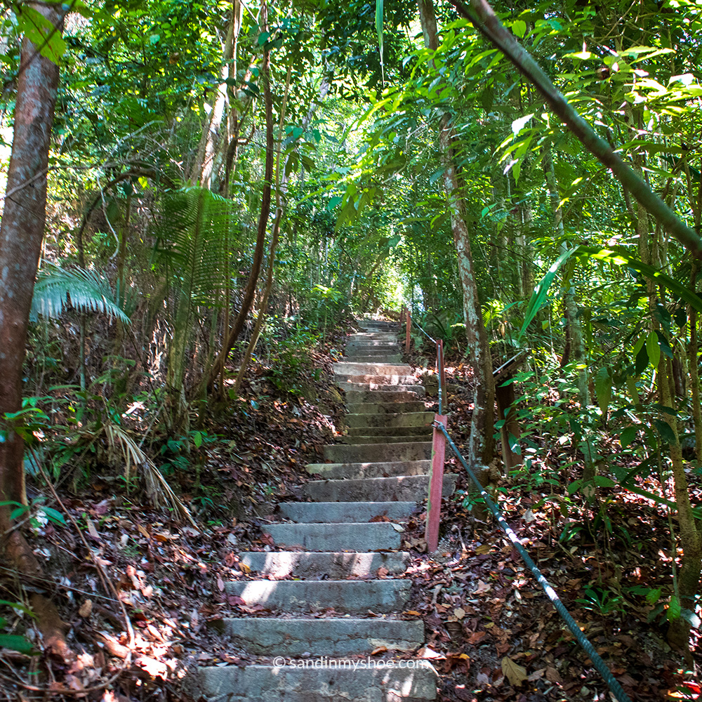 Stairs on turtle beach trail in Penang National Park
