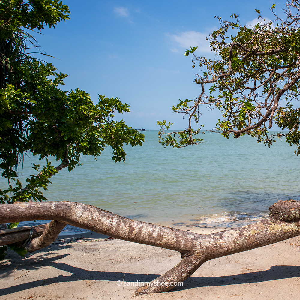 A very inviting looking beach.