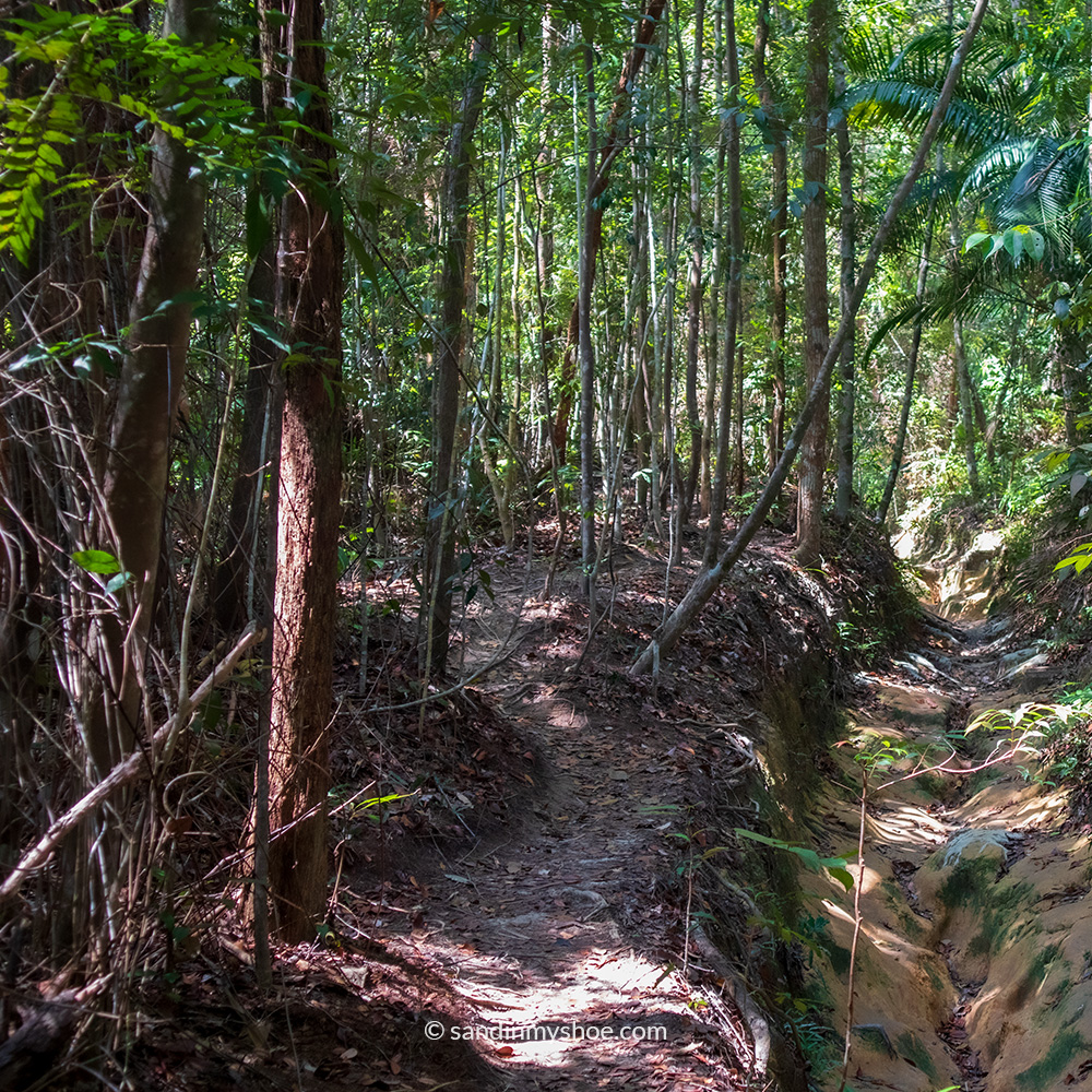 A newer, naturally formed trail running beside the old buffalo‑carved path.