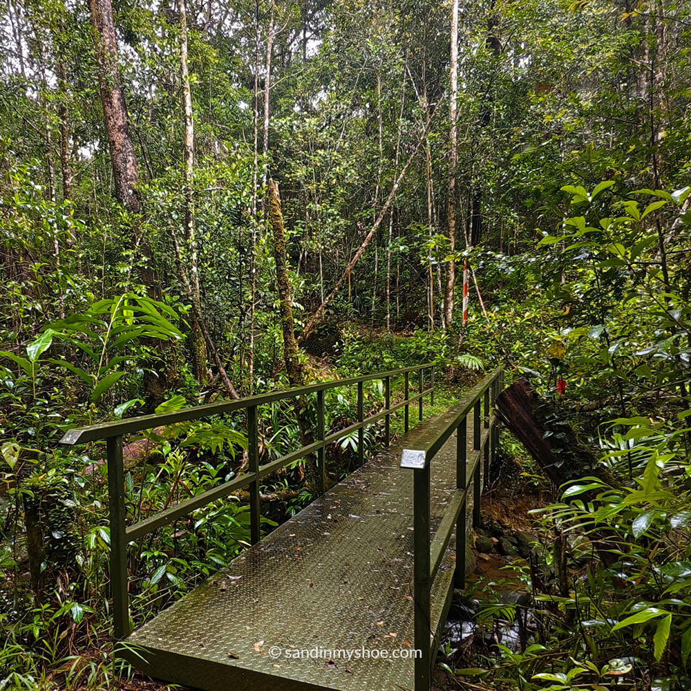 A small steel bridge along a well‑maintained trail in Kundasang.