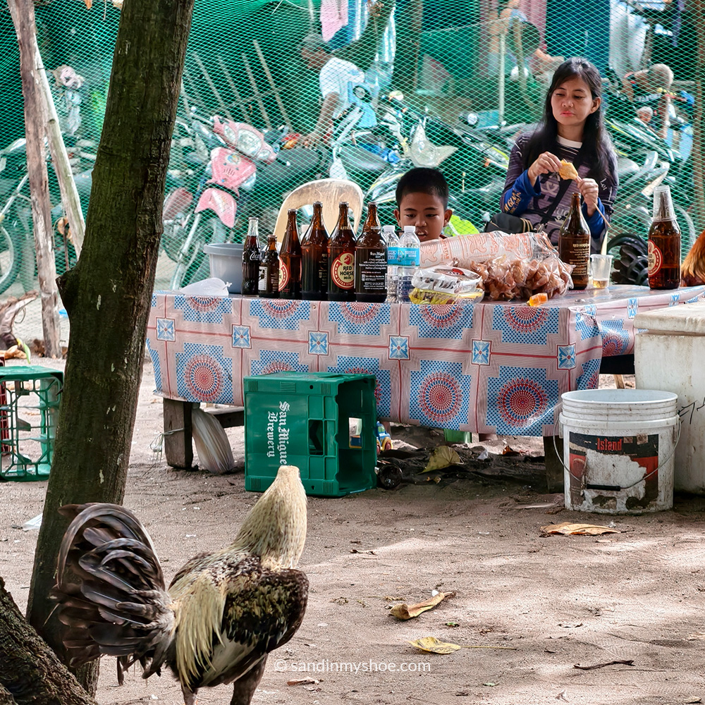 beer stand in the cockfight arena in malapascua, philippines