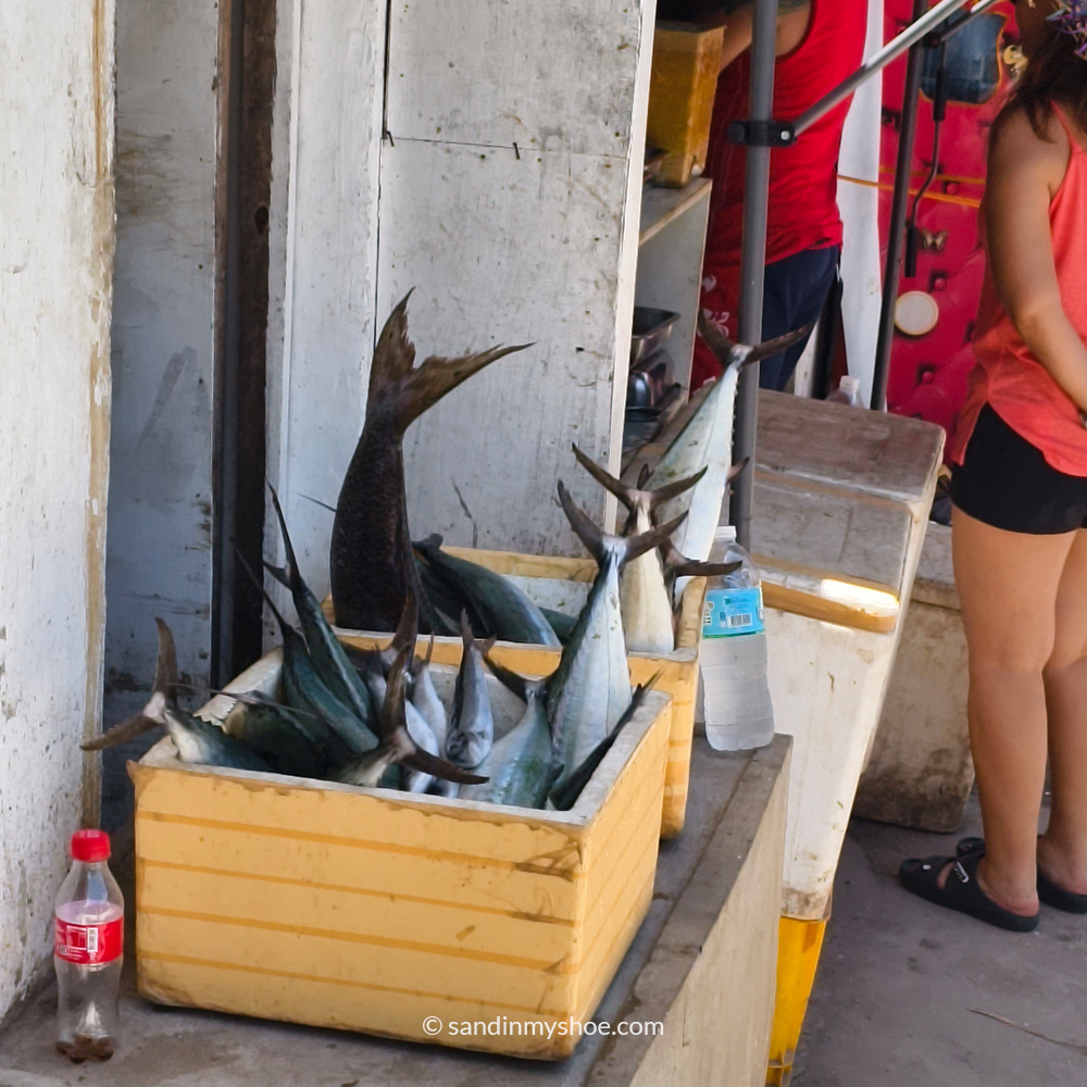 fish for sale