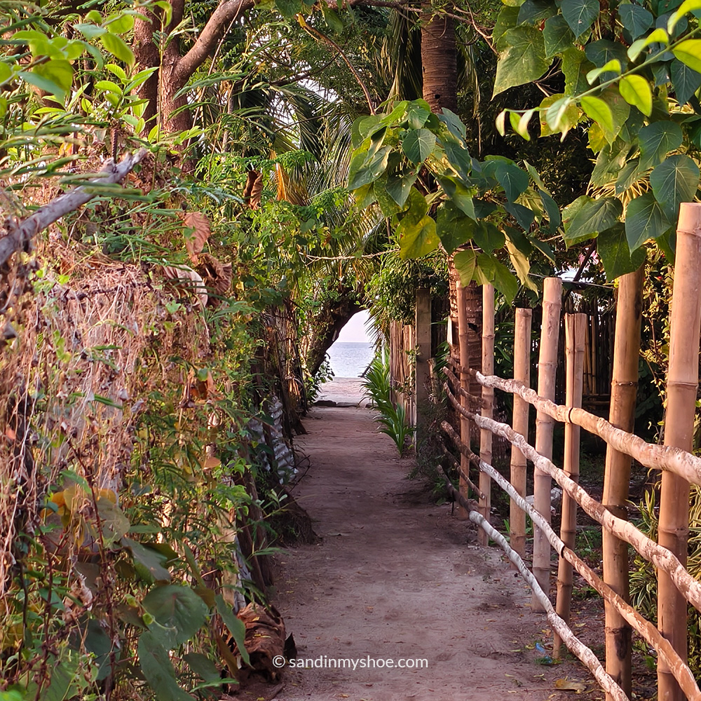 pathway to the beach in malapascua
