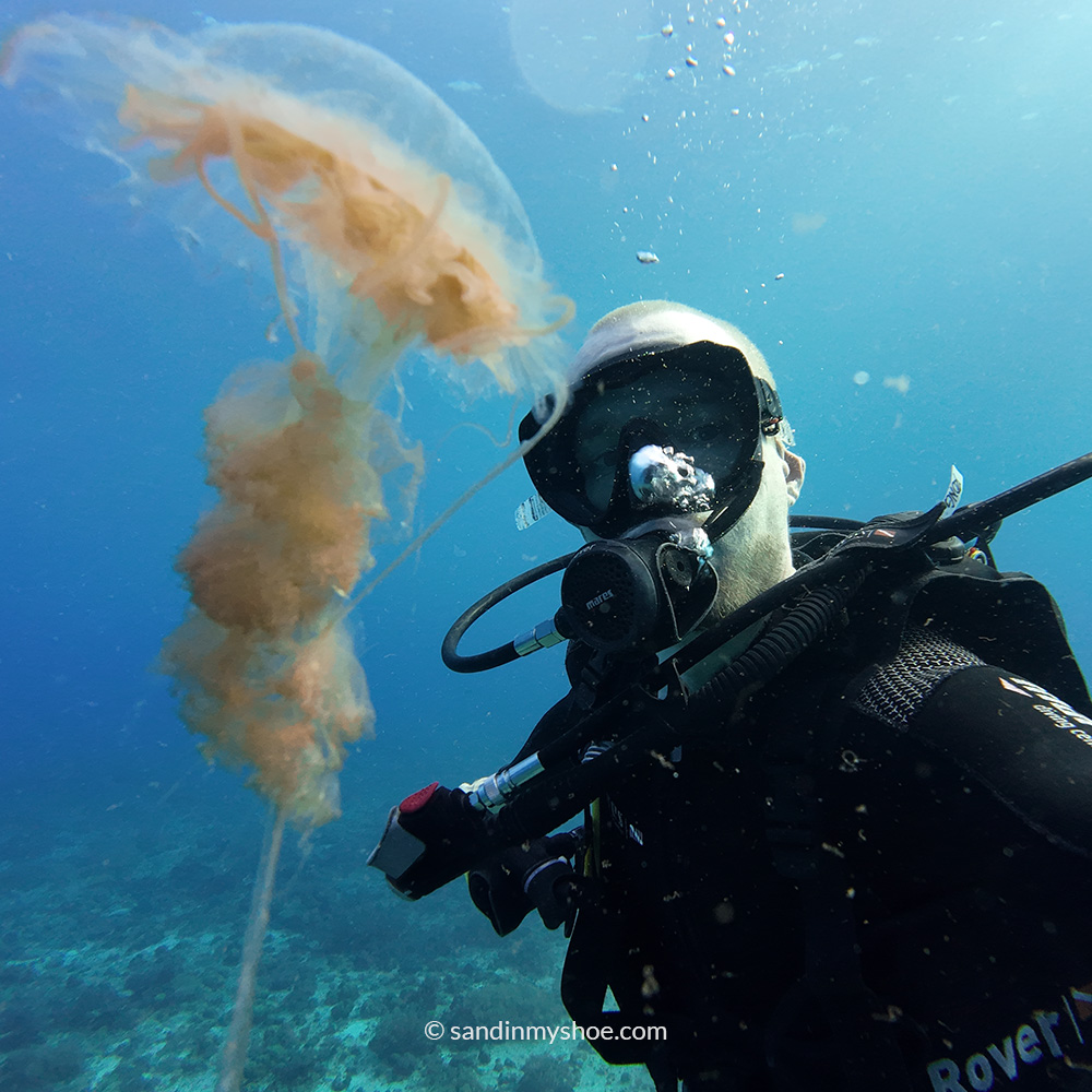 Petteri posing with a jellyfish in Monad Shoal.