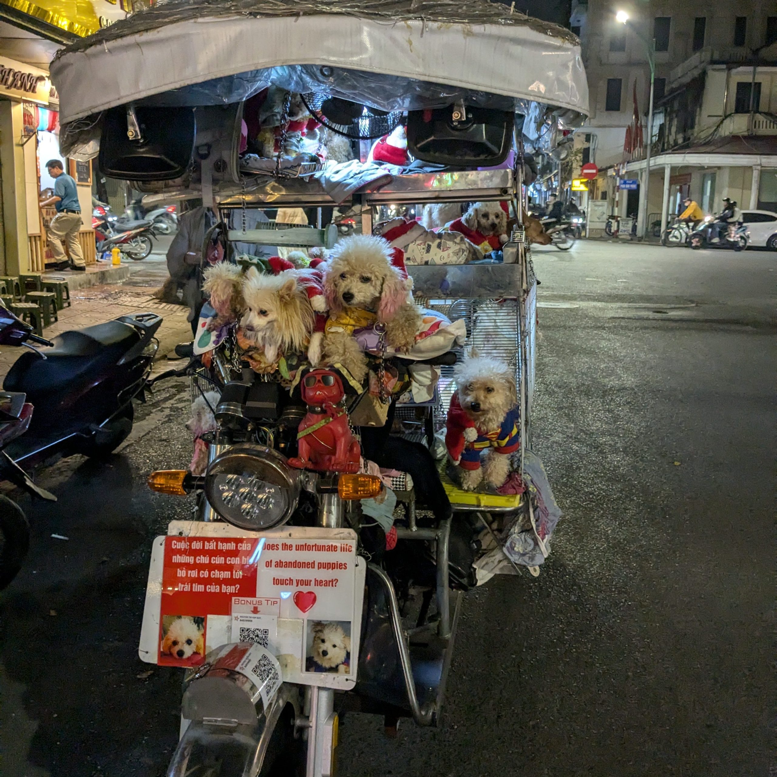 A bunch on dogs on a motorbike.