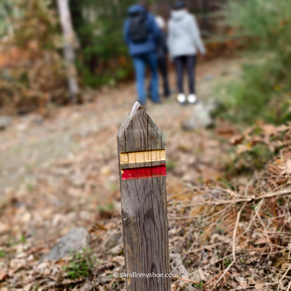 Yellow trail markings shows the trail for the hikers.