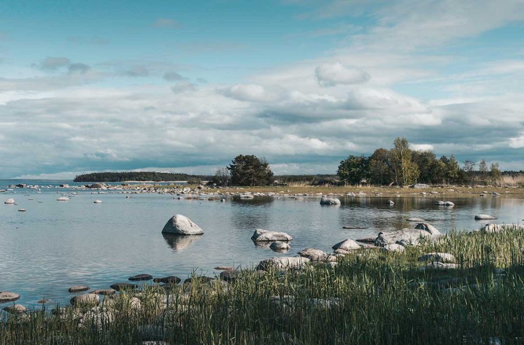 Rocky coastline near Võsu