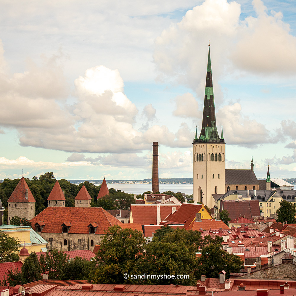 Overlooking Tallinn Old Town, with St. Olaf's Church standing tall above the historic rooftops.