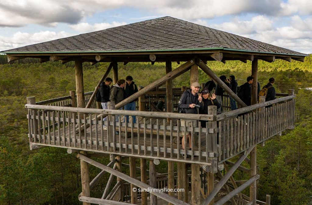 Petteri and another traveler in a birdwatching tower overlooking the bog landscape in Lahemaa National Park, Estonia.