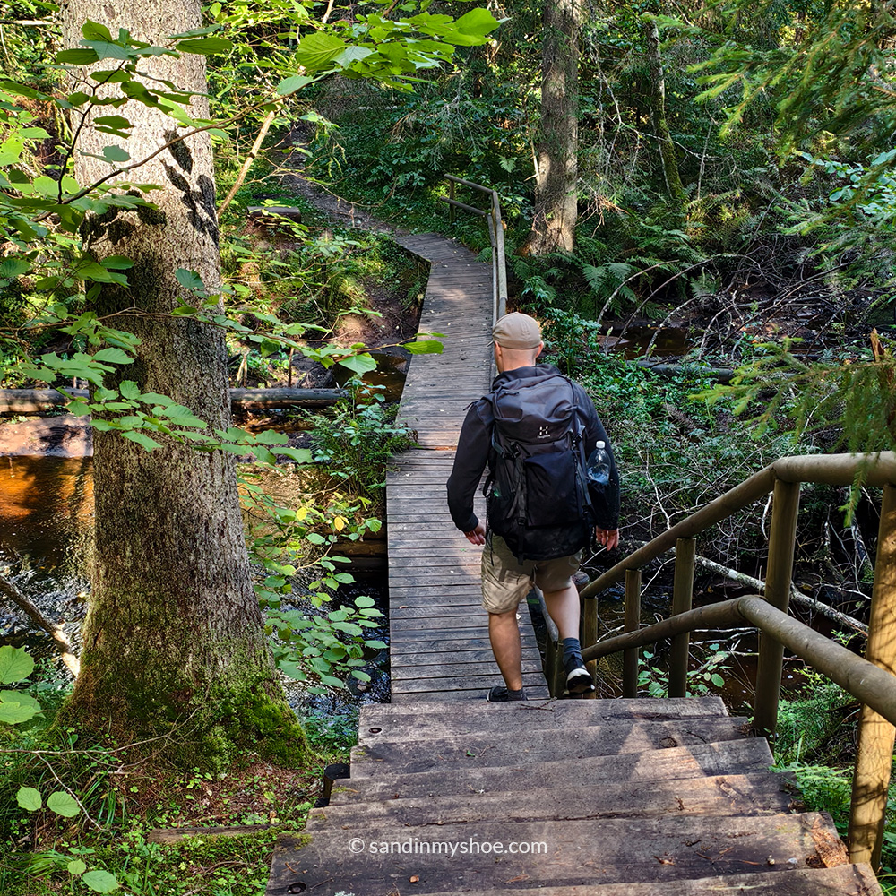 Petteri walking on woodboards in the forest of Lahemaa National Park.