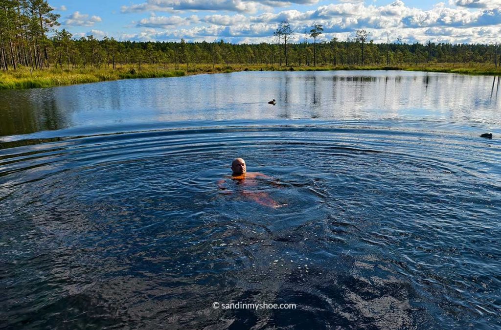 Petteri swimming in a bog lake in Lahemaa National Park, the day trip to do from Tallinn.