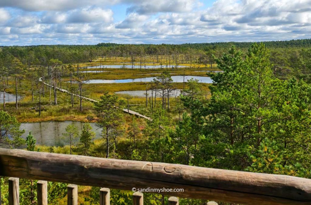 Bog landscapes viewed from a birdwatching tower, featuring bog lakes, swamps, and a winding boardwalk.