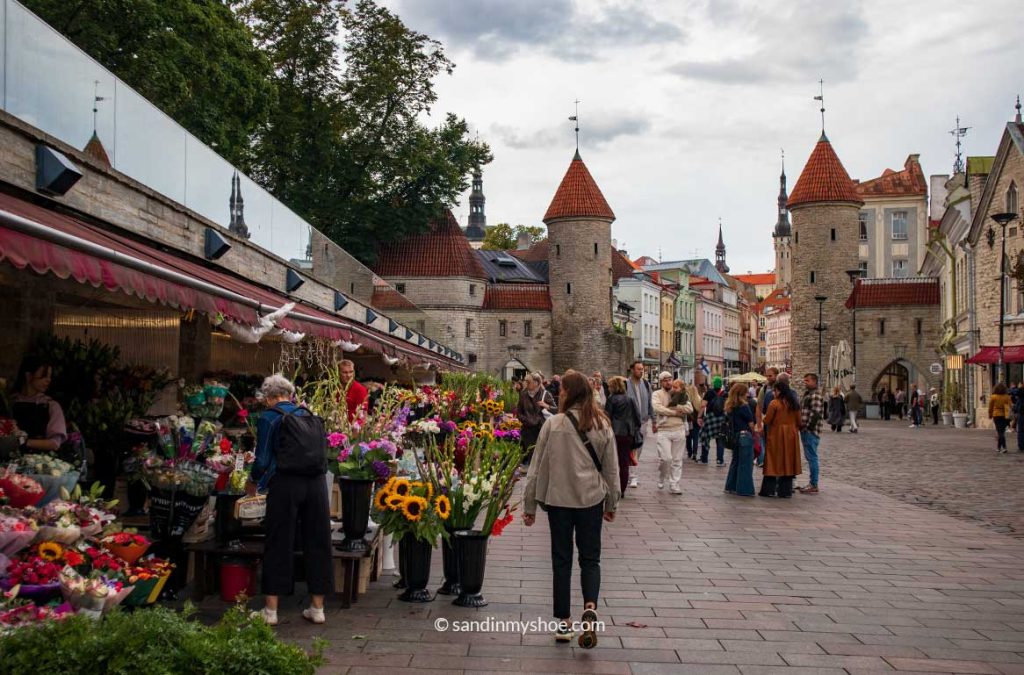 Flower stands at the entrance of old town's Viru gate in Tallinn